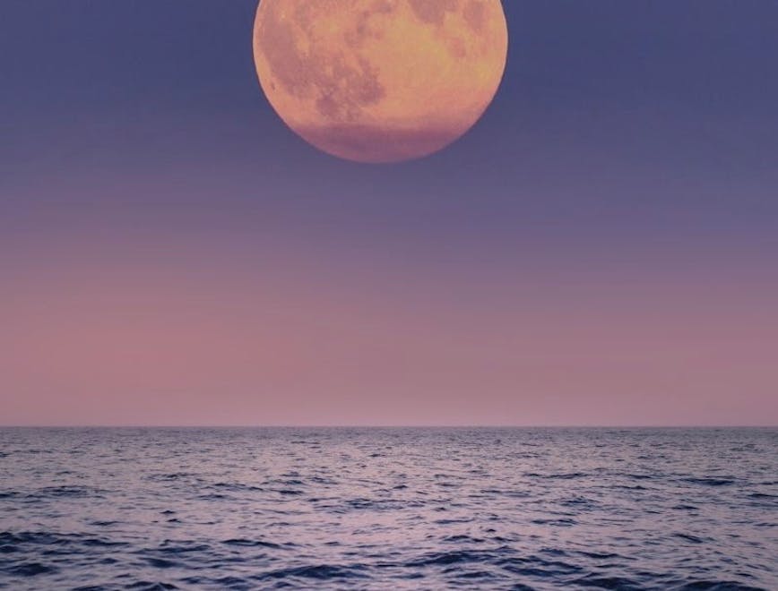 nature night outdoors astronomy moon sky