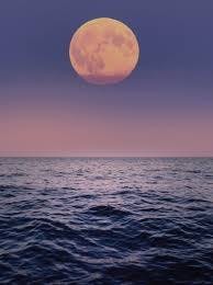 nature night outdoors astronomy moon sky sea water horizon scenery